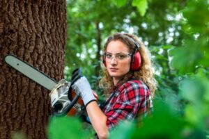 Юрист объяснил волгоградцам, как предотвратить незаконную вырубку деревьев у подъезда