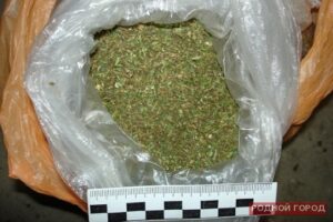 4,4 кг марихуаны собирались сбыть в Москве два волгоградца