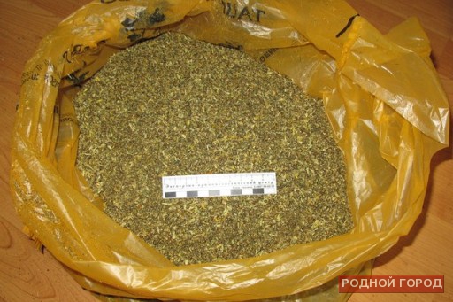 Жителя Михайловки задержали с мешком марихуаны в Волгограде