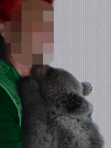 Под Волгоградом сбежала жившая в клетке медведица