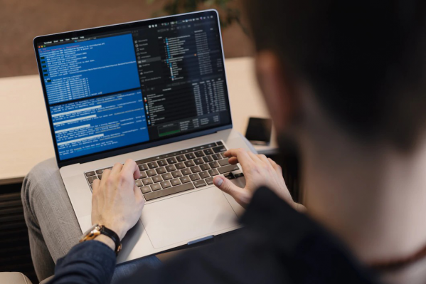 Этим летом волгоградские школьники смогут освоить IT-технологии