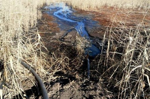 Ассенизатор за слив отходов на почву в Волгограде заплатит 84 тысяч рублей