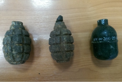 55-летний волгоградец хранил на даче оружие и наркотики