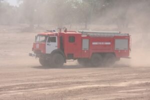 Из-за риска пожаров волгоградцам запретили посещать леса до осени