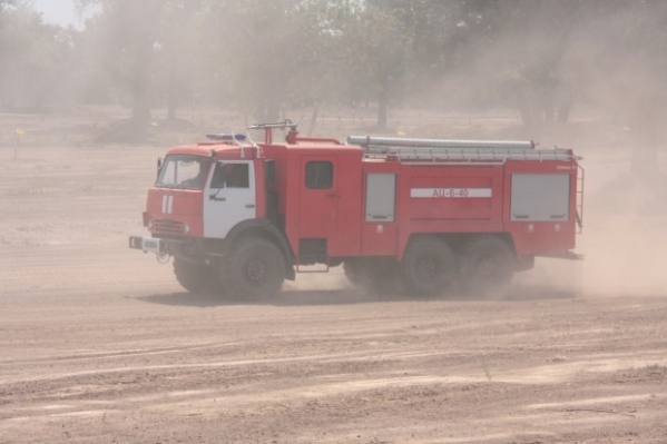 Из-за риска пожаров волгоградцам запретили посещать леса до осени