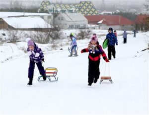 В Волгограде в сосновом бору произошла перестрелка