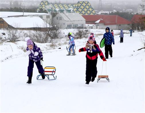 В Волгограде в сосновом бору произошла перестрелка