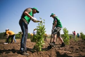 Губернатор Волгоградской области поручил провести в регионе субботники