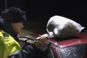 Под Волгоградом у 28-летнего мужчины изъяли около 3,7 кг марихуаны