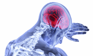 Еда, которая приводит к маразму: что в нашей тарелке убивает клетки мозга?