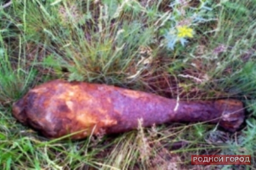 Полиция задержала мужчину с миной в центре Волгограда