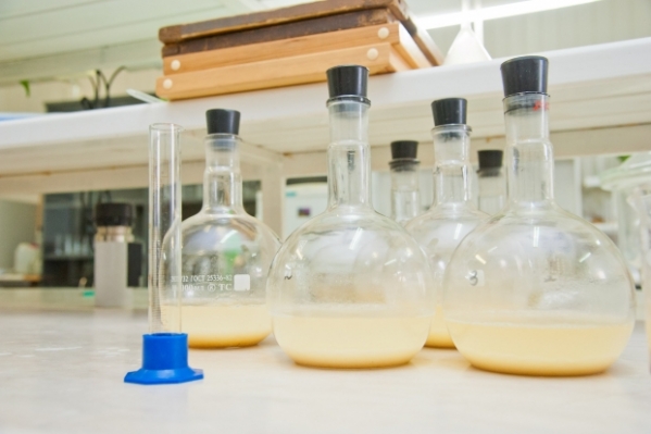 Волгоградский предприниматель нарушил нормы при производстве молока