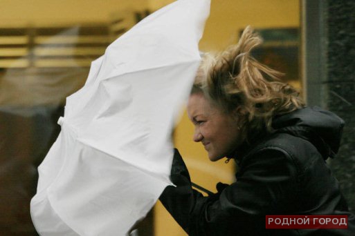 МЧС Волгоградской области предупреждает об усилении ветра