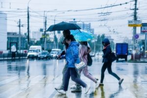 Штормовое предупреждение: в Волгограде и области ожидается шквалистый ветер до 25 м/с