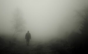 Бойтесь тумана: полиция пытается уберечь людей от зловещего явления