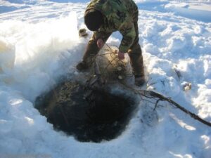В Волгоградской области мужчине грозит до 2 лет тюрьмы за вылов рыбы