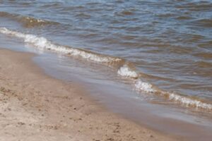 В водоеме под Волгоградом обнаружили тело утонувшего известного певца