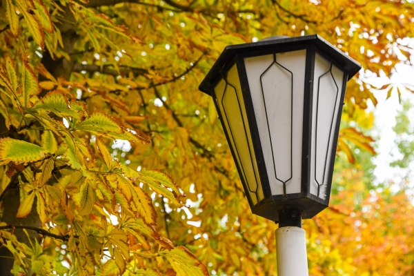 Парк «Юбилейный» на юге Волгограда привели в порядок