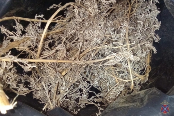 Волгоградского наркодилера могут посадить на 10 лет