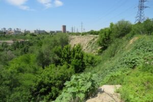 Волгоградские ученые узнали, где расположен вход в «бункер Сталина»