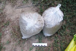 На юге Волгограда 33-летний мужчина прятал на чердаке 1,5 кг марихуаны