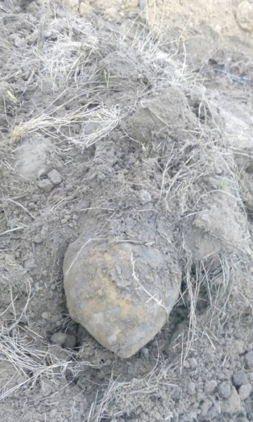 В Волгограде снова нашли бомбу времен ВОВ