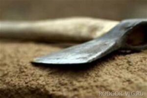 Многодетная мать в Урюпинском районе 10 раз ударила мужа топором