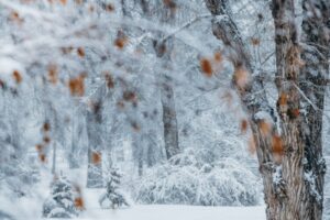 В центре Волгограда благоустроят сквер 8 Марта