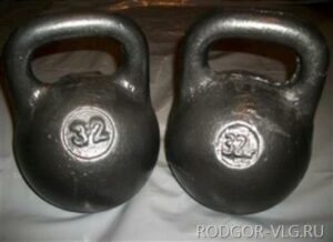 Братья-волжане задержаны за кражу двух 32-килограммовых гирь