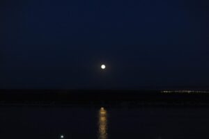 4 июня волгоградцев ждет Клубничная Луна