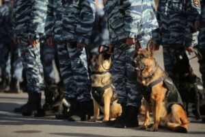 В Волжском Волгоградской области ищут пропавшего 13-летнего мальчика