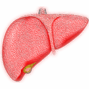 Врачи назвали внешние признаки, которые говорят о проблемах с печенью