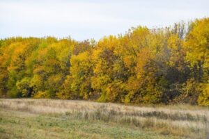 В Волгоградской области замерили радиационную обстановку