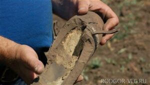 Под Волгоградом нашли крупный склад оружия времен ВОВ