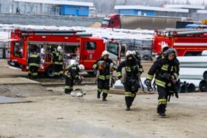 Ночью в Волгограде сгорело 50 килограммов семечек