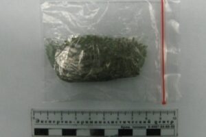 Под Волгоградом у работника сельхозпредприятия нашли 340 грамм марихуаны