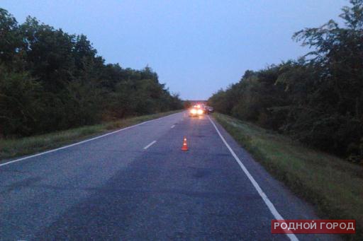 На трассе Волгоградской области нашли тело мужчины