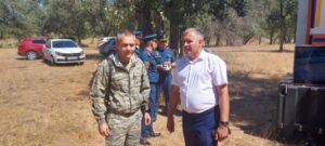 В Волгоградской области усиленно патрулируют леса