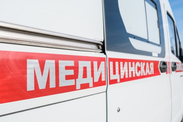 82 волгоградца за неделю пострадали от нападения клещей