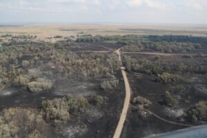 Самое масштабное возгорание глазами пожарного