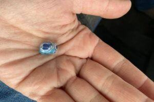 Археологи обнаружили в захоронениях в Волгоградской области бусины сарматов