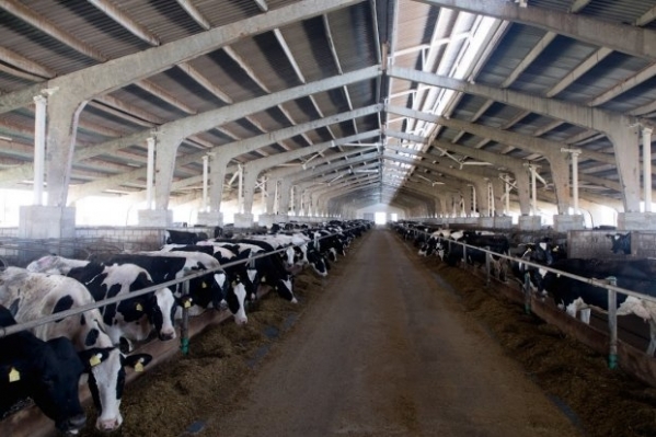 В Волгоградской области господдержка помогает развивать фермерство