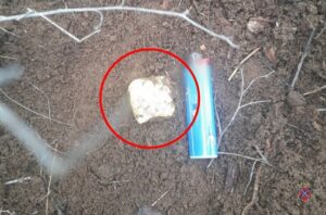 Под Волгоградом полицейские задержали наркодилера