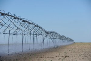 Развитие мелиорации позволяет волгоградским аграриям продвигаться вперед