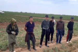 В Волгоградской области провели рейды по выявлению мигрантов