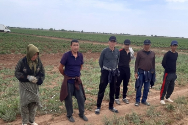 В Волгоградской области провели рейды по выявлению мигрантов