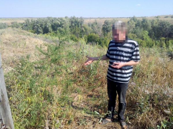 В Волгоградской области у 36-летнего мужчины нашли 170 граммов марихуаны
