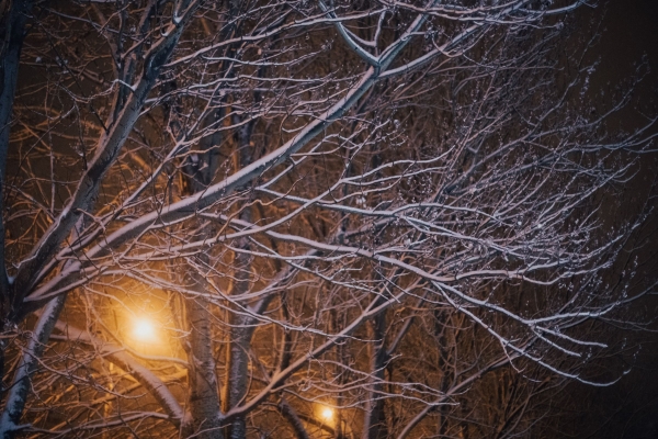В Волгоградскую область в выходные вернется плюсовая температура