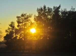 41 человека искали в сентябре в Волгоградской области, но троих нашли мертвыми