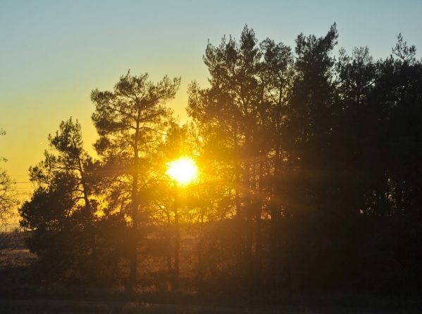 41 человека искали в сентябре в Волгоградской области, но троих нашли мертвыми